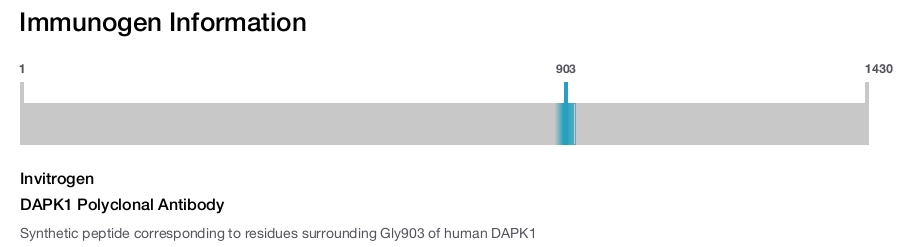 DAPK1 Polyclonal Antibody