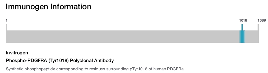 Phospho-PDGFRA (Tyr1018) Polyclonal Antibody