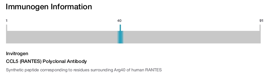 CCL5 (RANTES) Polyclonal Antibody
