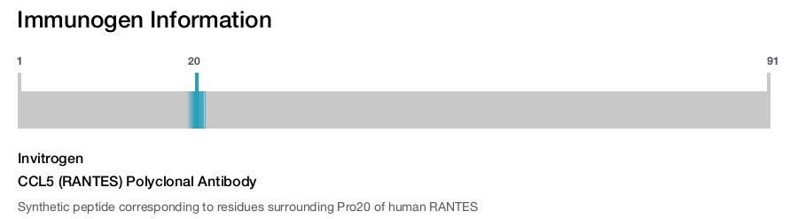 CCL5 (RANTES) Polyclonal Antibody