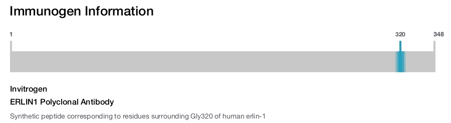 ERLIN1 Polyclonal Antibody