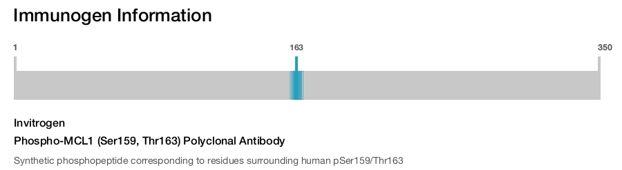 Phospho-MCL1 (Ser159, Thr163) Polyclonal Antibody