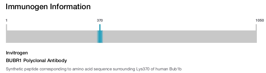 BUBR1 Polyclonal Antibody