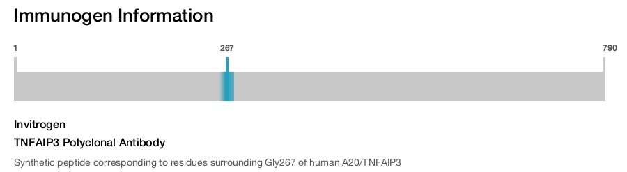 TNFAIP3 Polyclonal Antibody