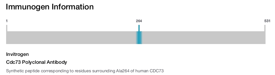 Cdc73 Polyclonal Antibody