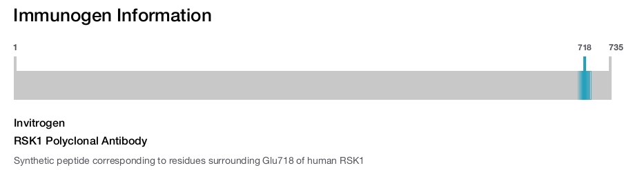 RSK1 Polyclonal Antibody