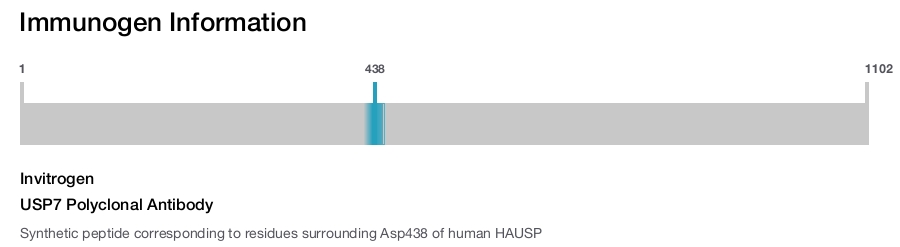 USP7 Polyclonal Antibody
