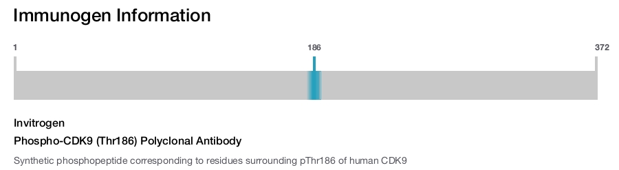 Phospho-CDK9 (Thr186) Polyclonal Antibody