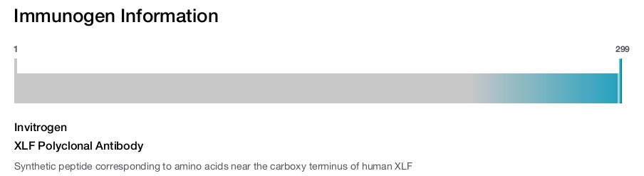XLF Polyclonal Antibody