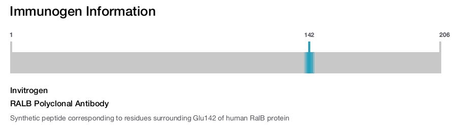 RALB Polyclonal Antibody