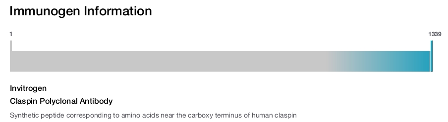 Claspin Polyclonal Antibody