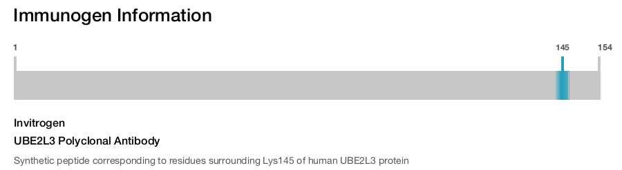 UBE2L3 Polyclonal Antibody