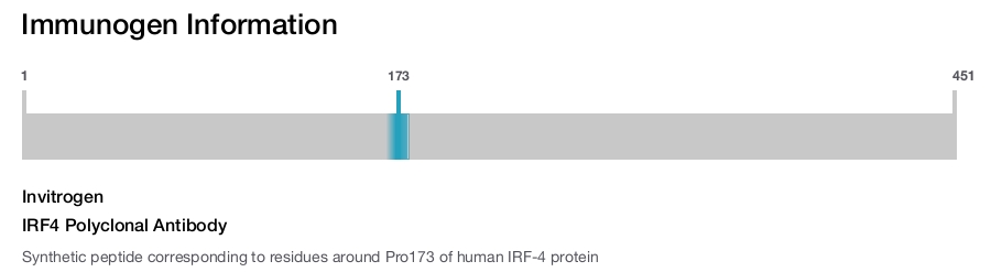 IRF4 Polyclonal Antibody