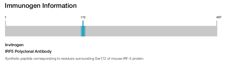 IRF5 Polyclonal Antibody