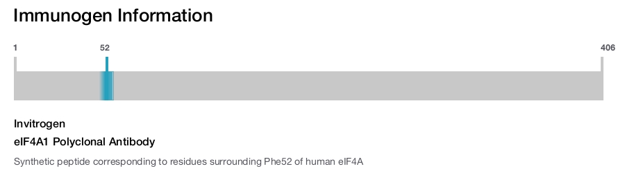 eIF4A1 Polyclonal Antibody