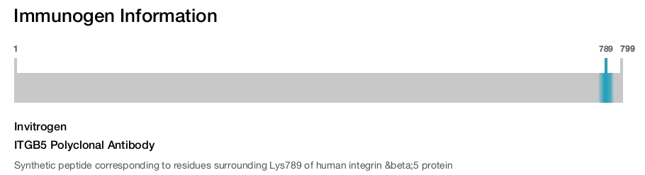 ITGB5 Polyclonal Antibody
