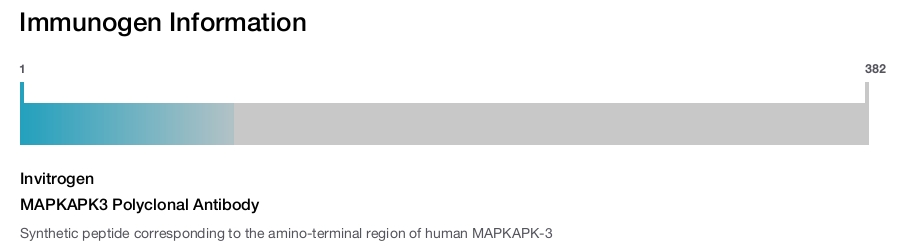 MAPKAPK3 Polyclonal Antibody