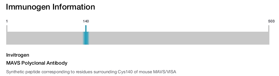 MAVS Polyclonal Antibody