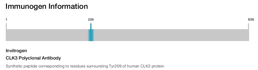 CLK3 Polyclonal Antibody