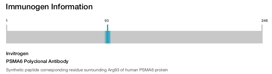 PSMA6 Polyclonal Antibody