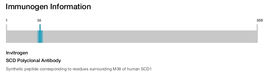 SCD Polyclonal Antibody