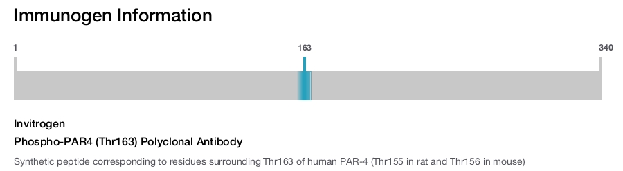 Phospho-PAR4 (Thr163) Polyclonal Antibody