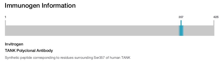 TANK Polyclonal Antibody