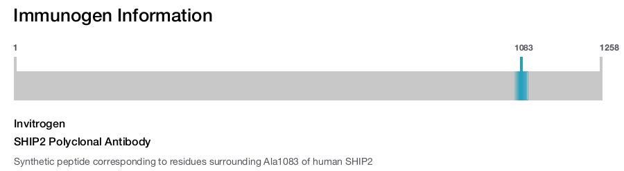 SHIP2 Polyclonal Antibody