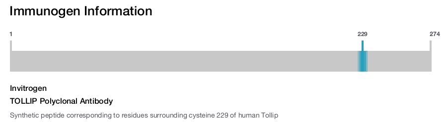 TOLLIP Polyclonal Antibody