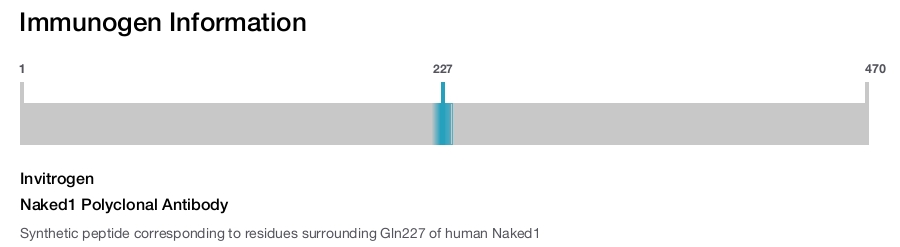 Naked1 Polyclonal Antibody
