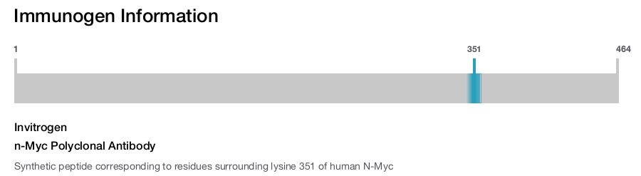 n-Myc Polyclonal Antibody