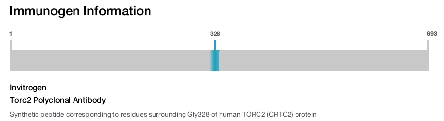 Torc2 Polyclonal Antibody