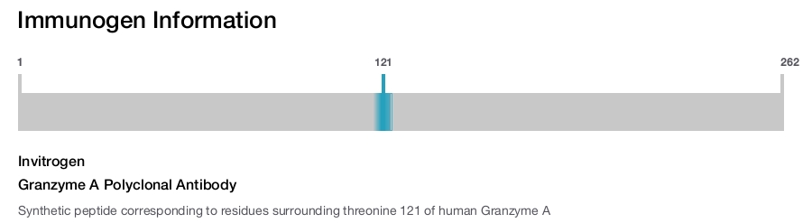 Granzyme A Polyclonal Antibody