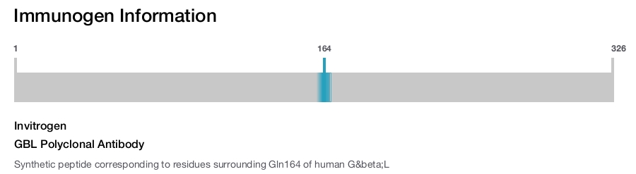 GBL Polyclonal Antibody