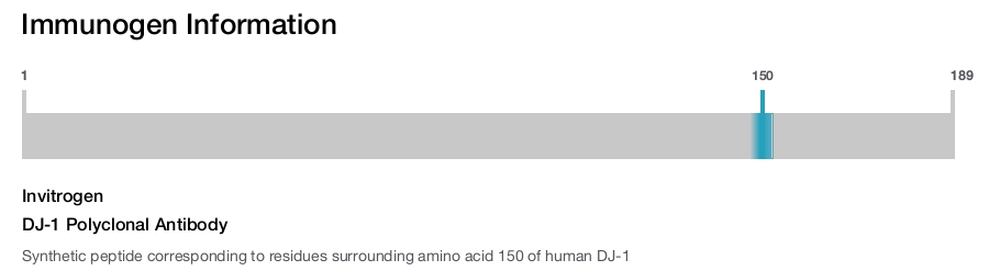 DJ-1 Polyclonal Antibody