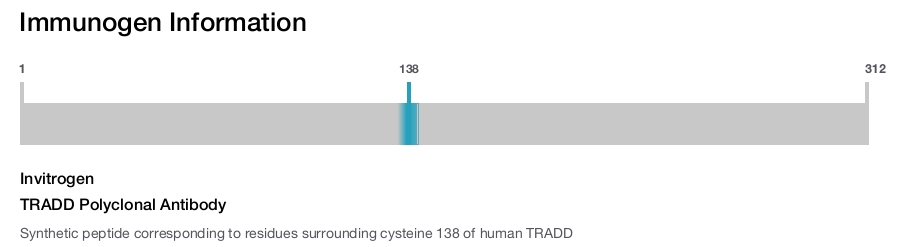 TRADD Polyclonal Antibody