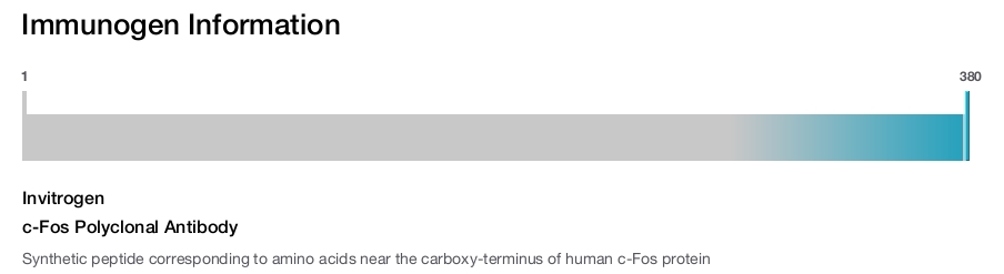 c-Fos Polyclonal Antibody