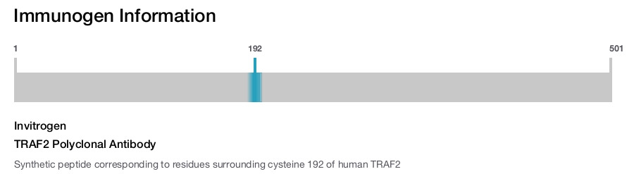 TRAF2 Polyclonal Antibody