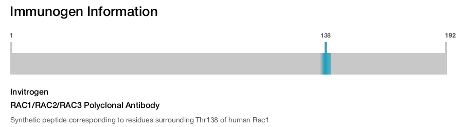 RAC1/RAC2/RAC3 Polyclonal Antibody