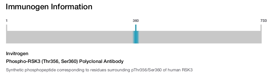 Phospho-RSK3 (Thr356, Ser360) Polyclonal Antibody