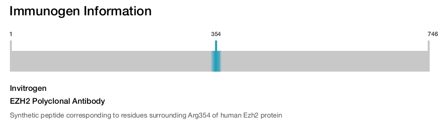 EZH2 Polyclonal Antibody