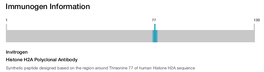 Histone H2A Polyclonal Antibody