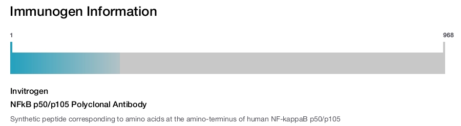 NFkB p50/p105 Polyclonal Antibody