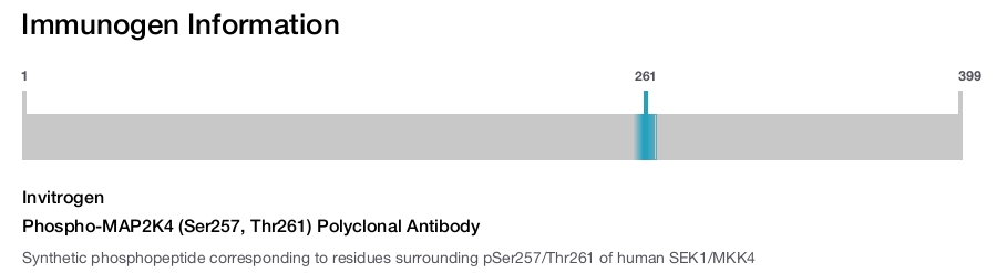 Phospho-MAP2K4 (Ser257, Thr261) Polyclonal Antibody