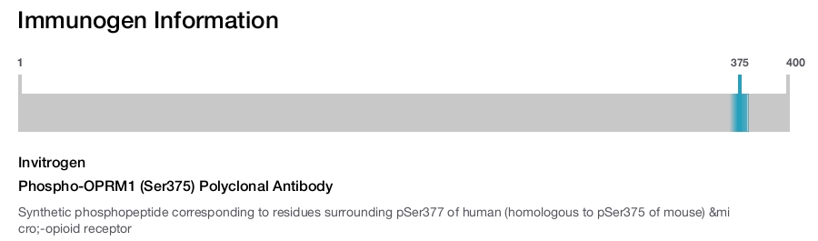 Phospho-OPRM1 (Ser375) Polyclonal Antibody