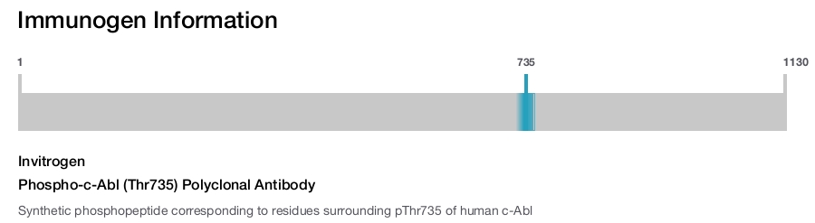 Phospho-c-Abl (Thr735) Polyclonal Antibody