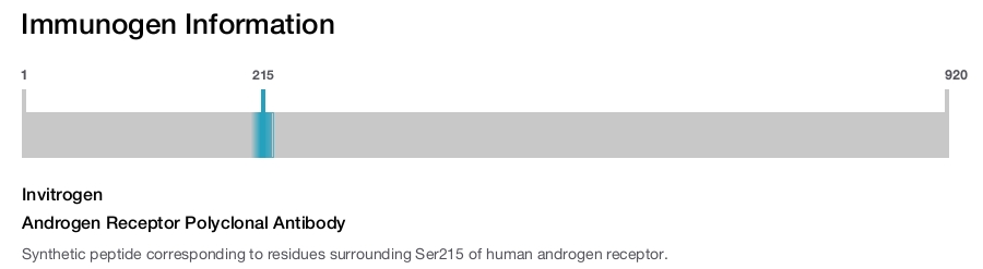 Androgen Receptor Polyclonal Antibody