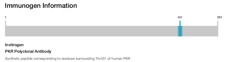 PKR Polyclonal Antibody