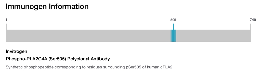 Phospho-PLA2G4A (Ser505) Polyclonal Antibody