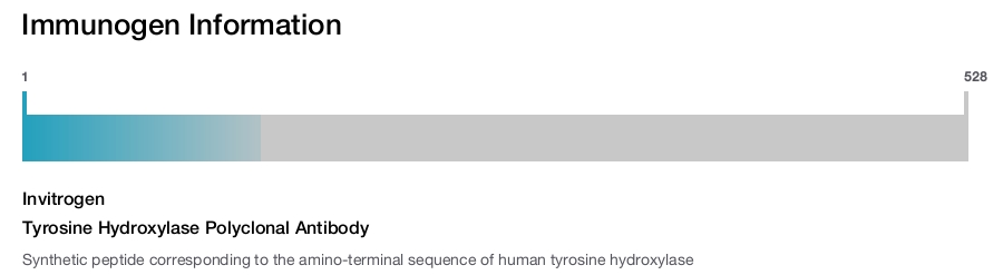 Tyrosine Hydroxylase Polyclonal Antibody